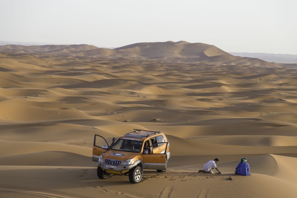 로프 코스(팀 빌딩)