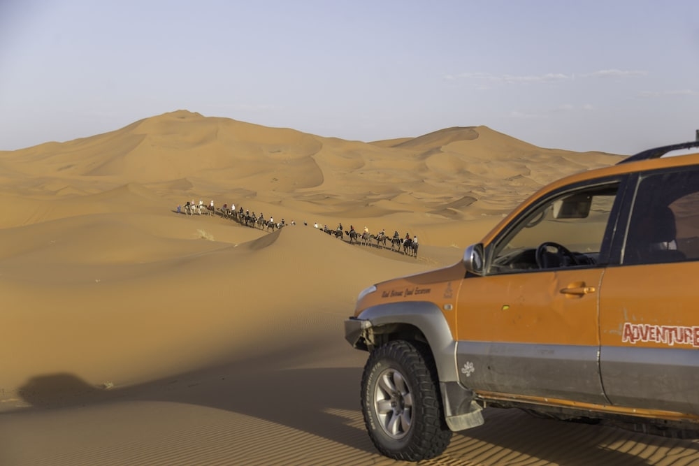 로프 코스(팀 빌딩)