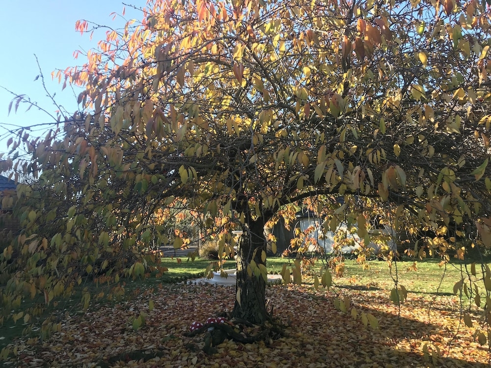 숙박 시설 정면