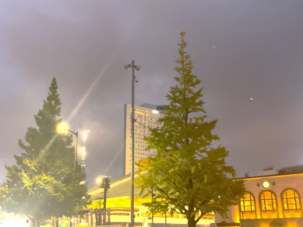 숙박 시설에서 보는 시내 전망