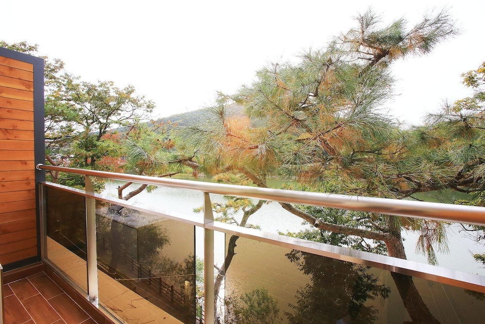 객실에서 보이는 전망