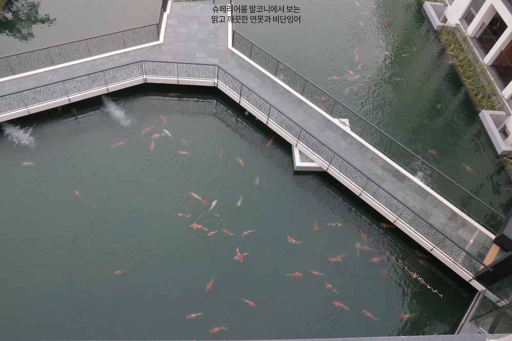 객실에서 보이는 전망