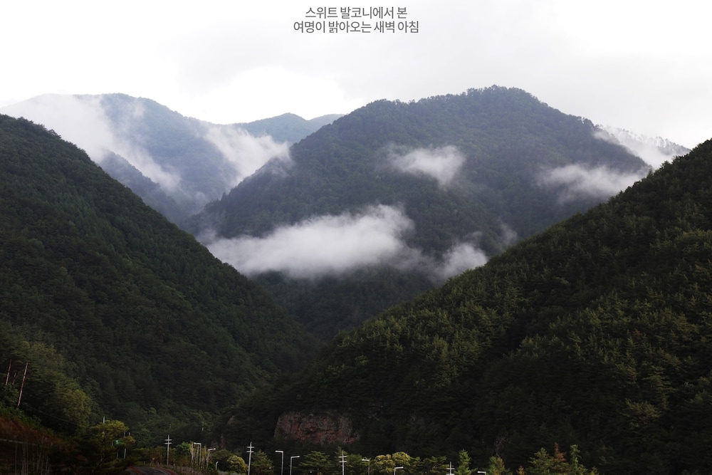 객실에서 보이는 전망