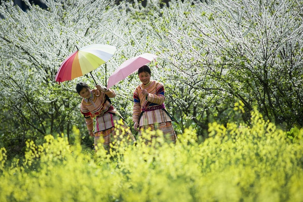 숙박 시설에서 보는 주변 전망