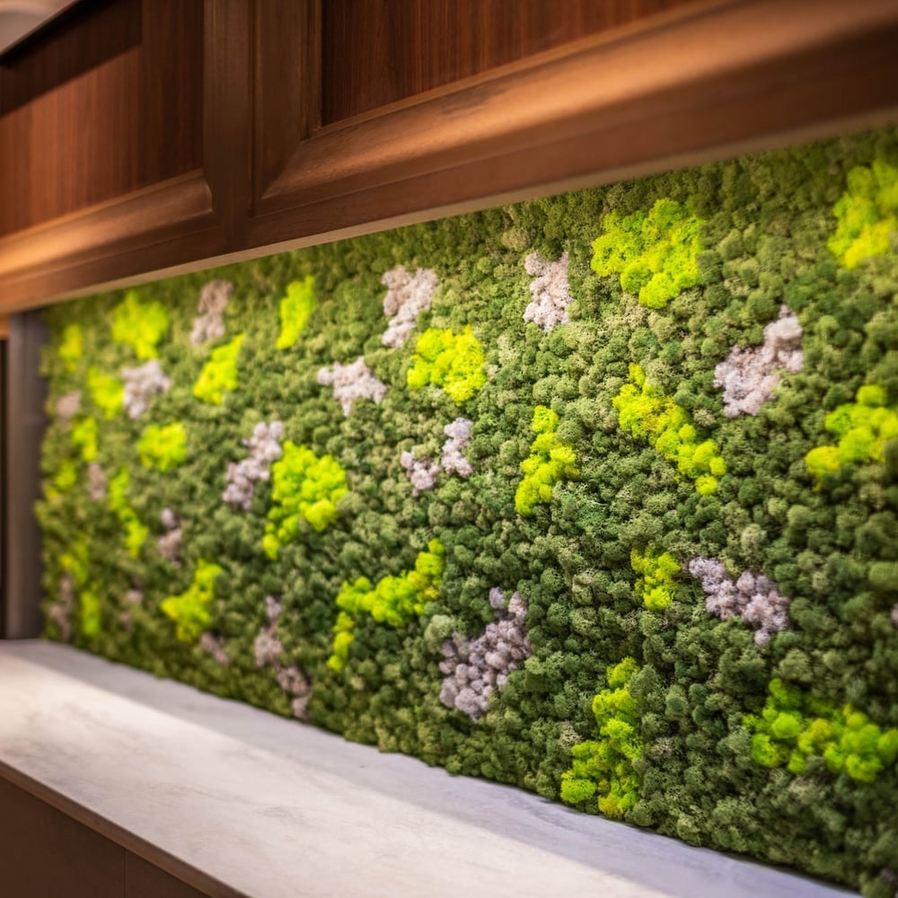 숙박 시설 내 편의 시설/서비스