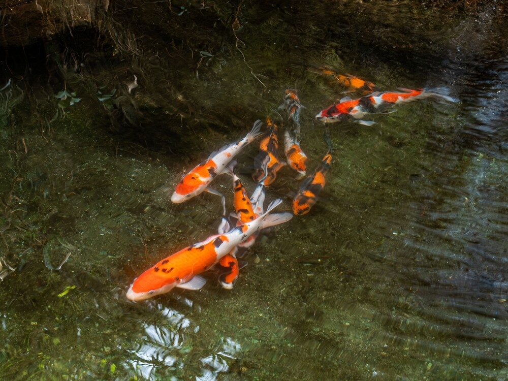 숙박 시설 내 편의 시설/서비스