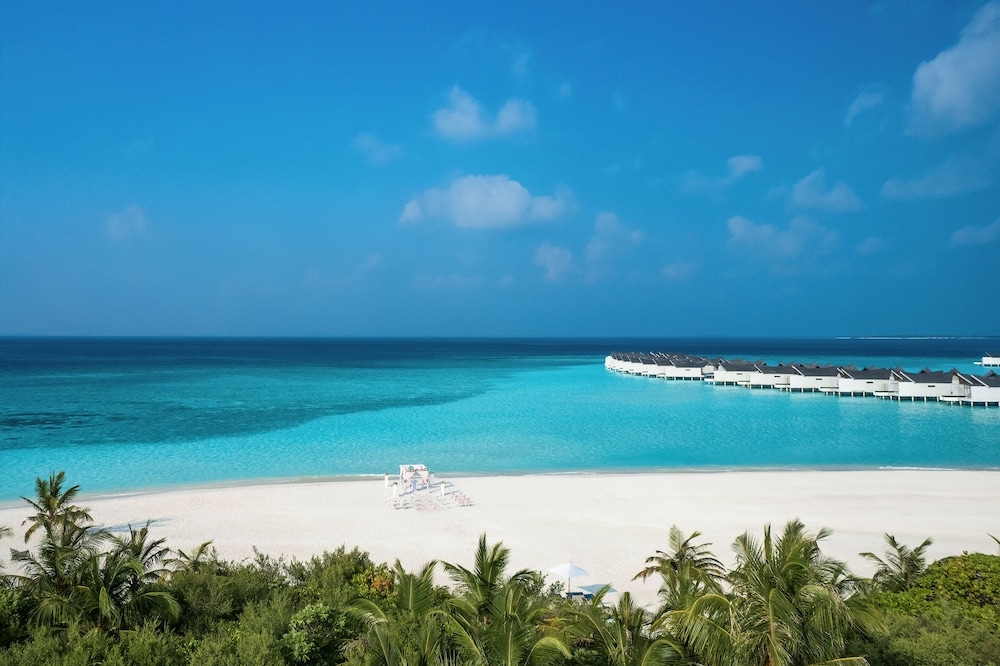 야외 결혼식 공간