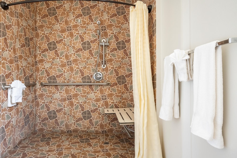 장애인 지원 욕실