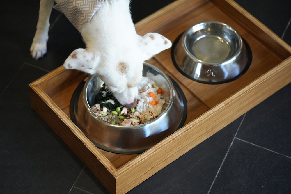 반려동물 동반 편의 시설