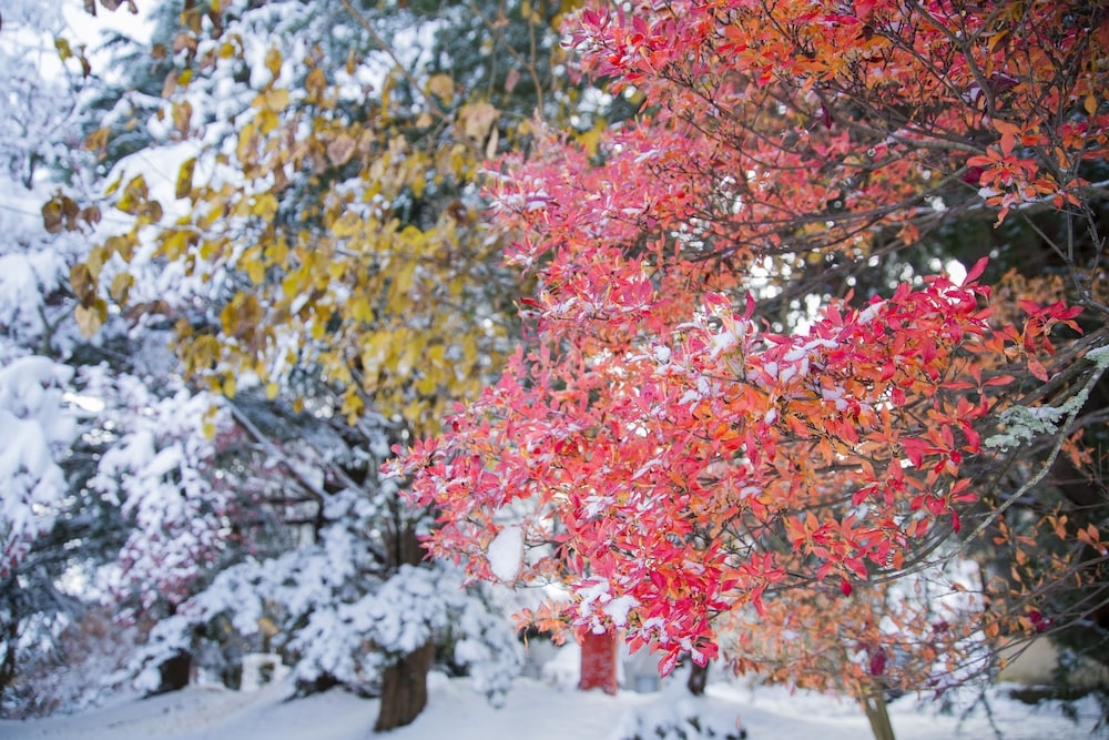 숙박 시설 구내