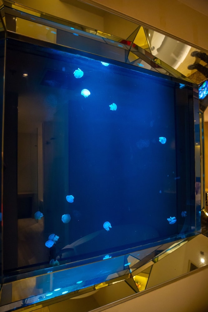 객실에서 보이는 전망