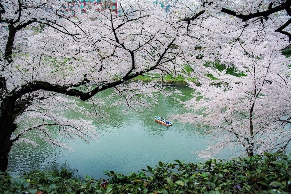 외부 세부 사진