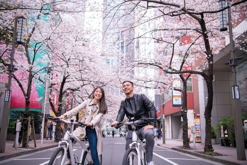 숙박 시설에서 보는 주변 전망