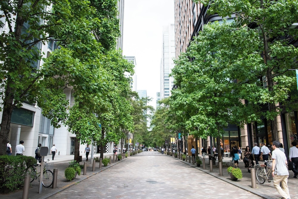 숙박 시설에서 보는 주변 전망