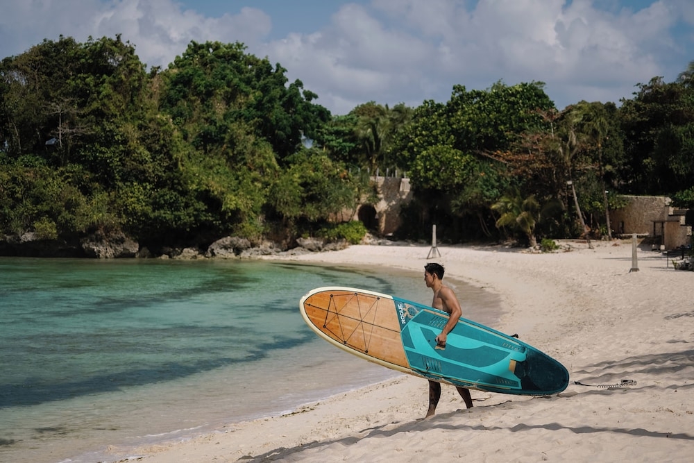 서핑/부기 보드
