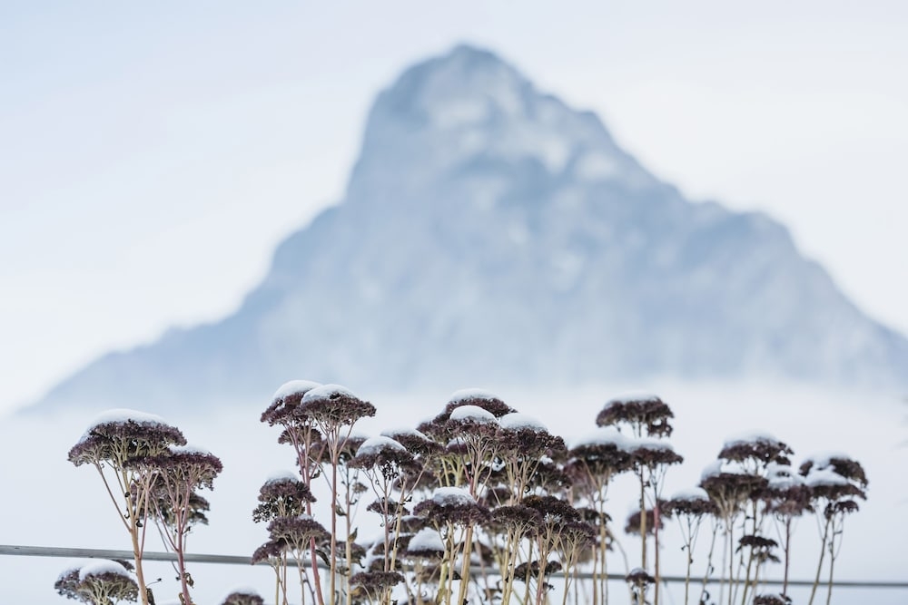 객실에서 보이는 전망