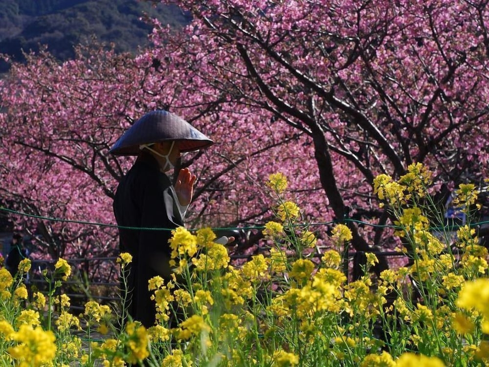 숙박 시설에서 보는 시내 전망