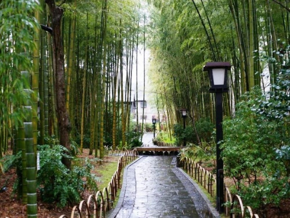 숙박 시설에서 보는 시내 전망