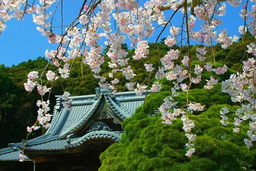 숙박 시설에서 보는 시내 전망