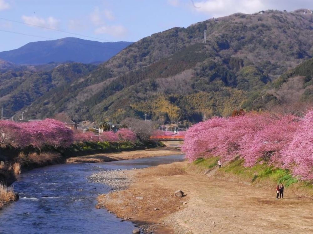 숙박 시설에서 보는 시내 전망