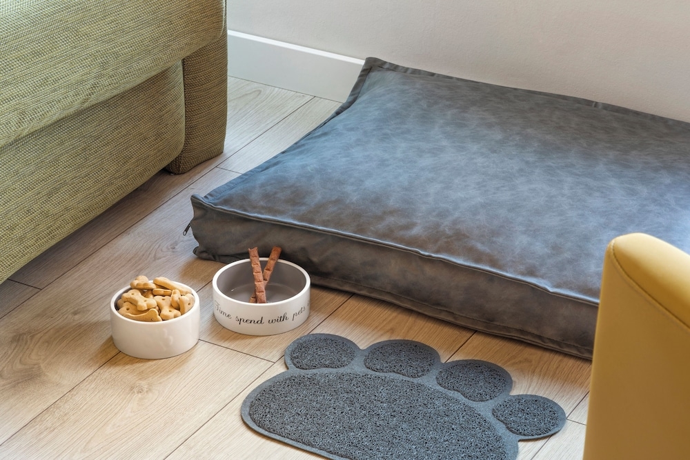 반려동물 동반 가능