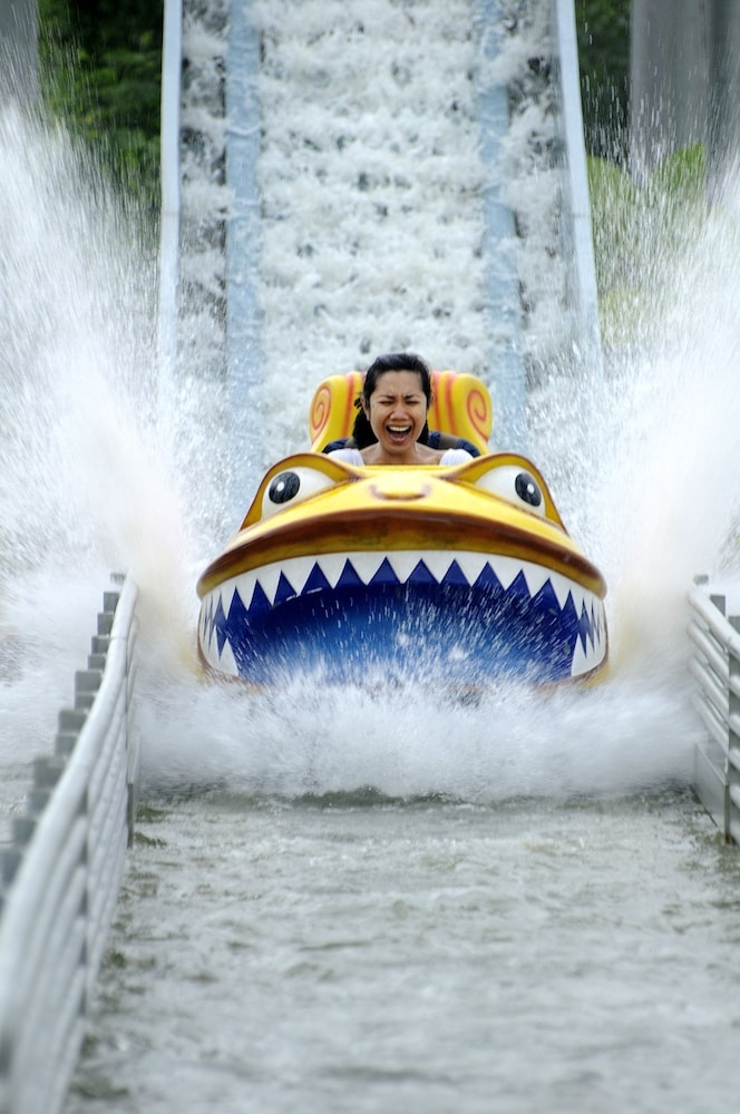 외부 세부 사진