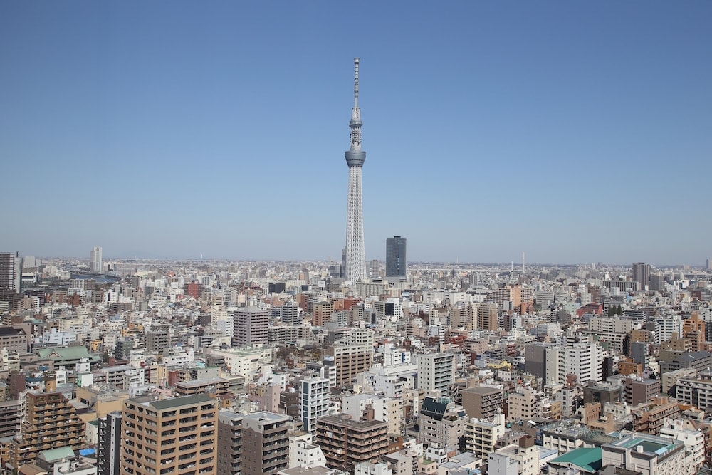 객실에서 보이는 전망