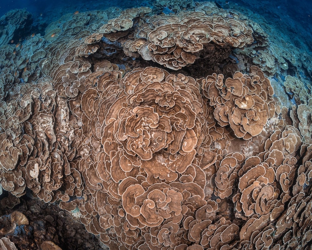 숙박 시설의 전망
