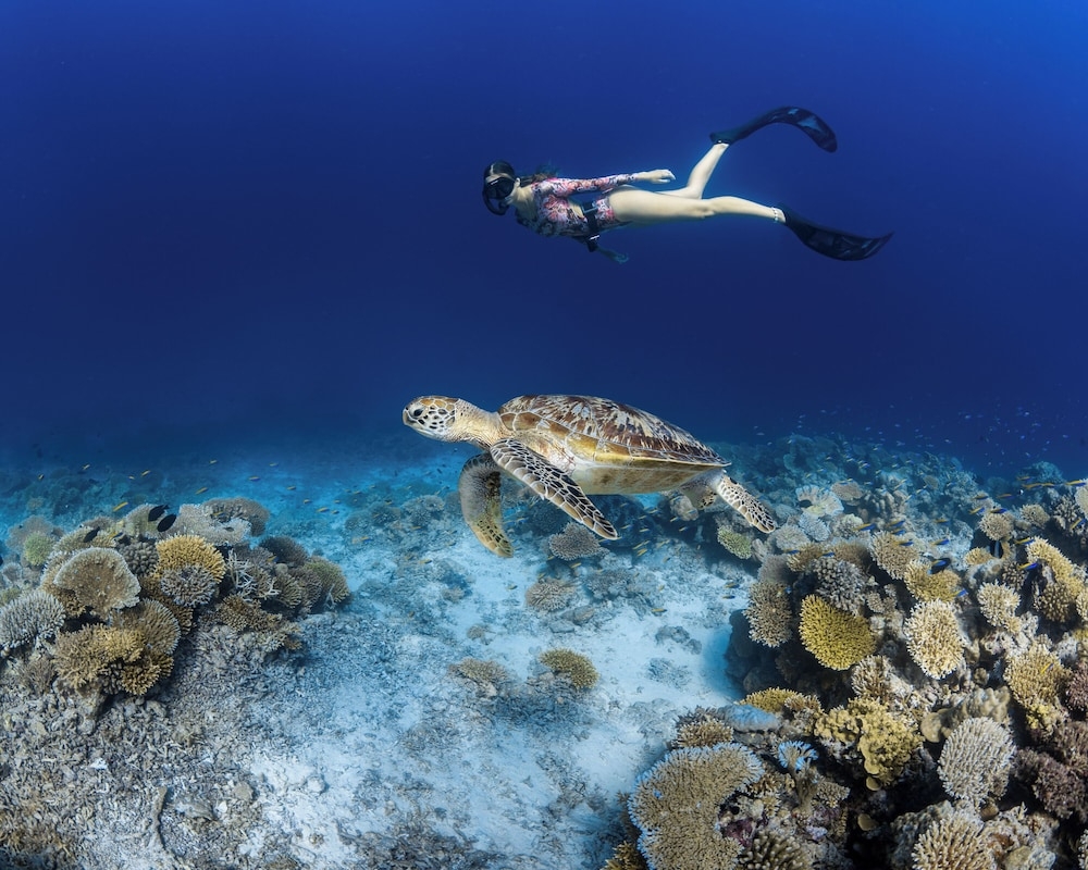 숙박 시설 정면