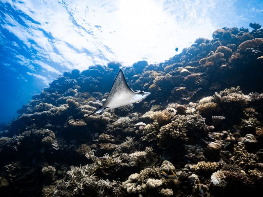 숙박 시설 정면