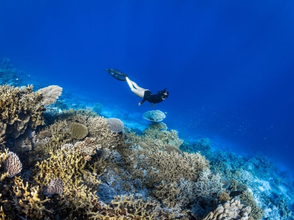 숙박 시설 정면
