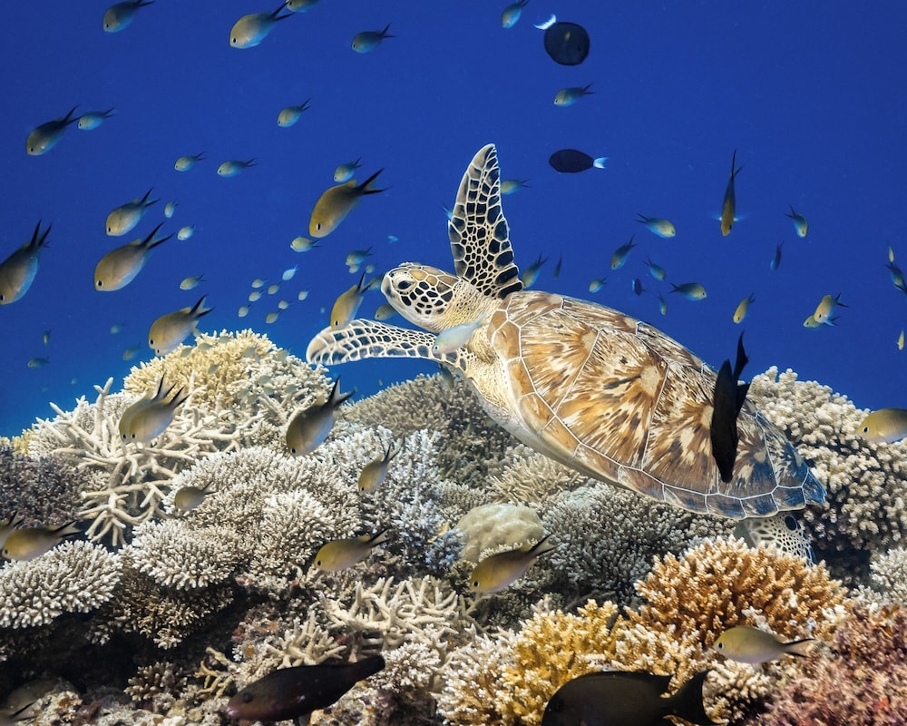 숙박 시설 정면