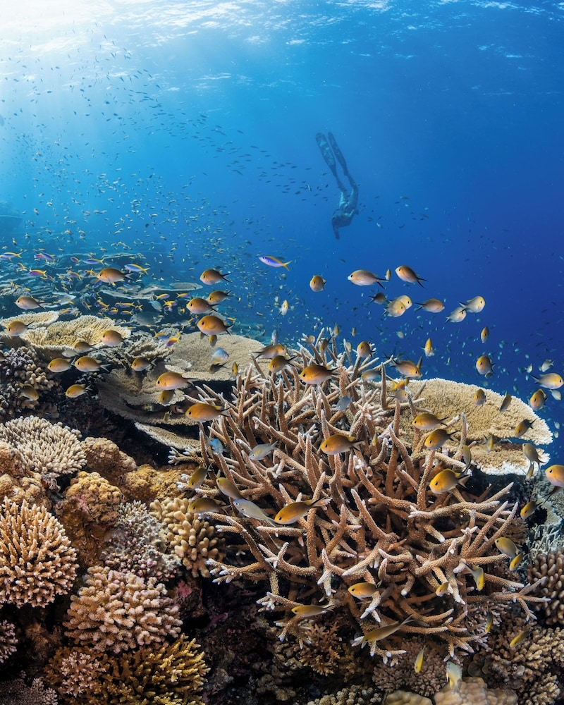 숙박 시설 정면