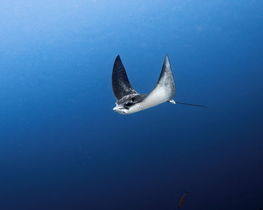 숙박 시설 정면