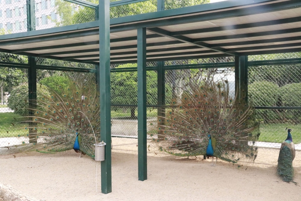 어린이 놀이 공간 - 야외