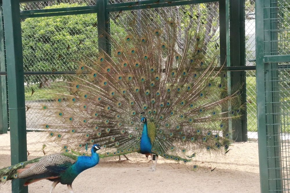 어린이 놀이 공간 - 야외