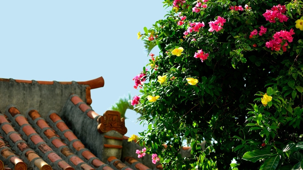 외부 세부 사진