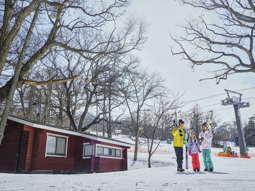 스키 및 겨울 스포츠