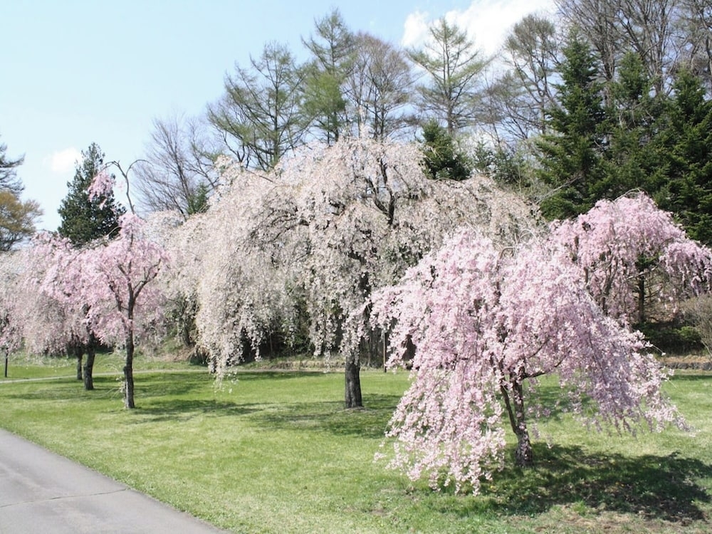 숙박 시설의 전망