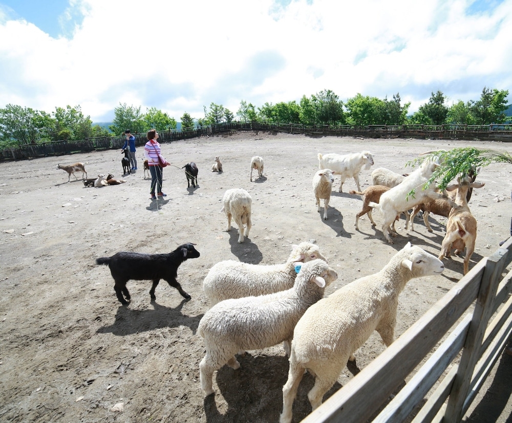 숙박 시설 내 편의 시설/서비스