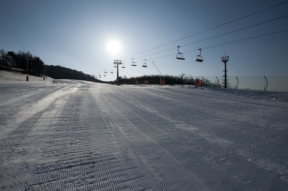 숙박 시설 내 편의 시설/서비스