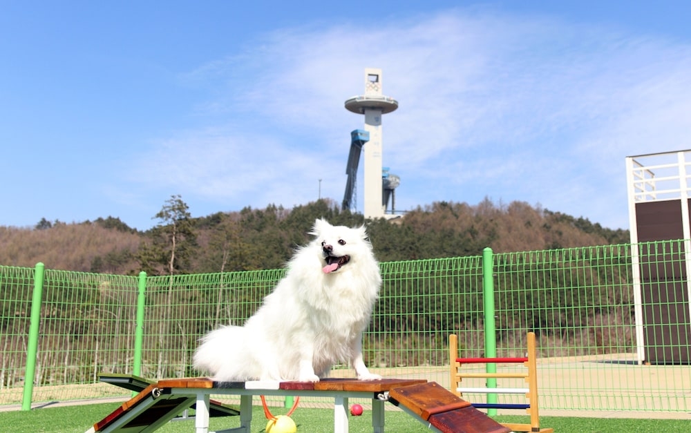 숙박 시설 내 편의 시설/서비스
