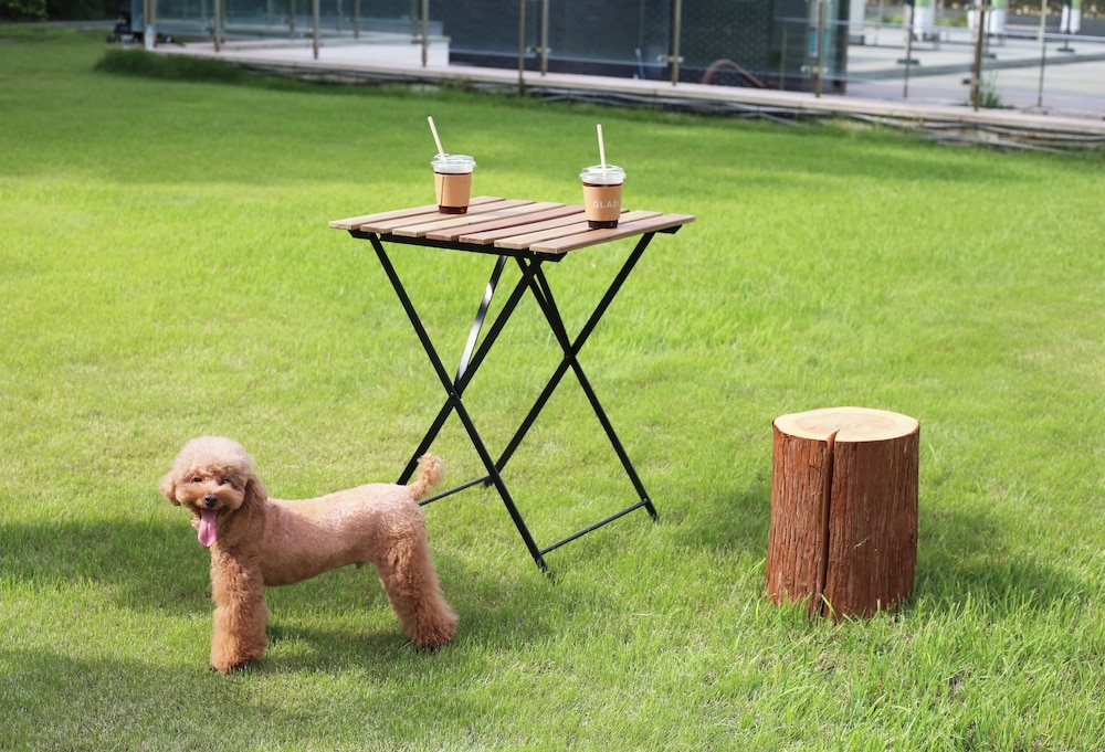 반려동물 동반 편의 시설