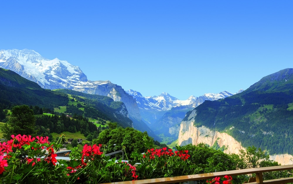 객실에서 보이는 전망