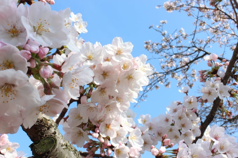 숙박 시설의 전망