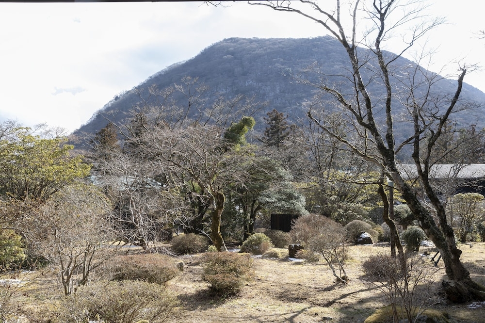 객실에서 보이는 전망