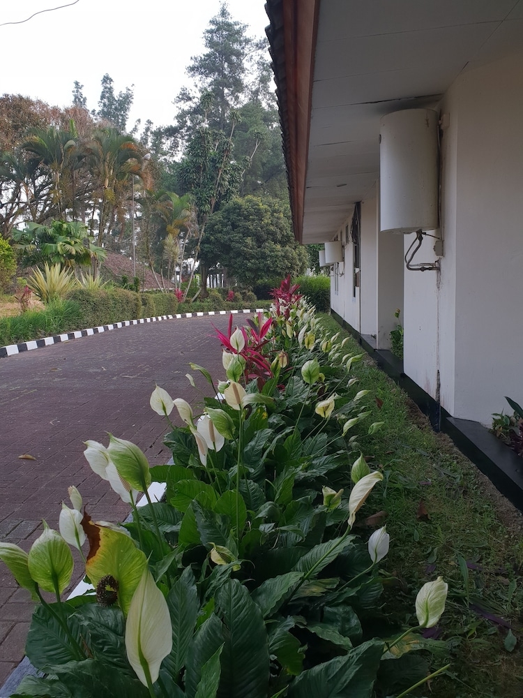 숙박 시설 구내