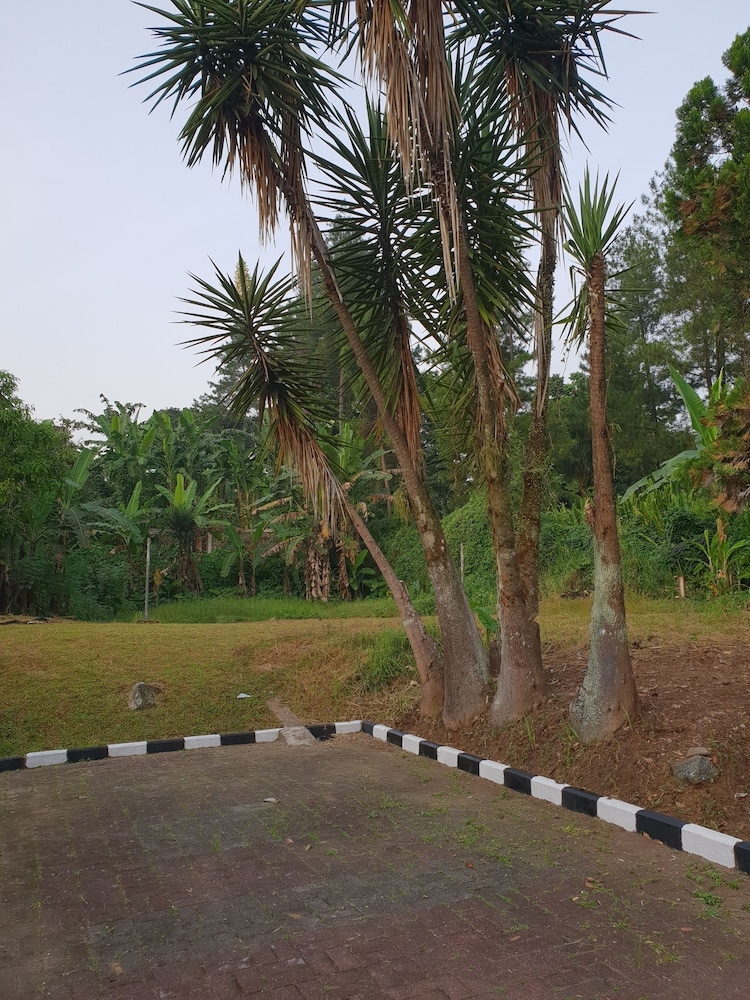 숙박 시설 구내