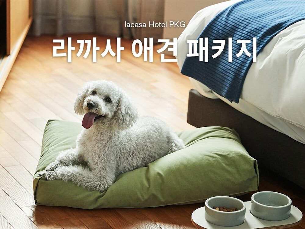 객실 내 편의 시설/서비스