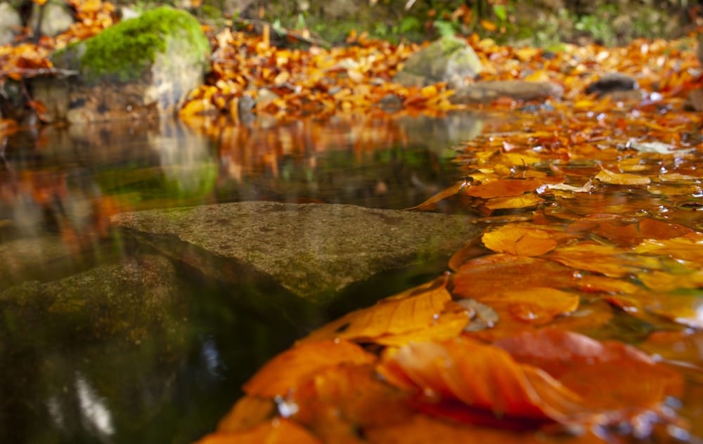 숙박 시설 구내